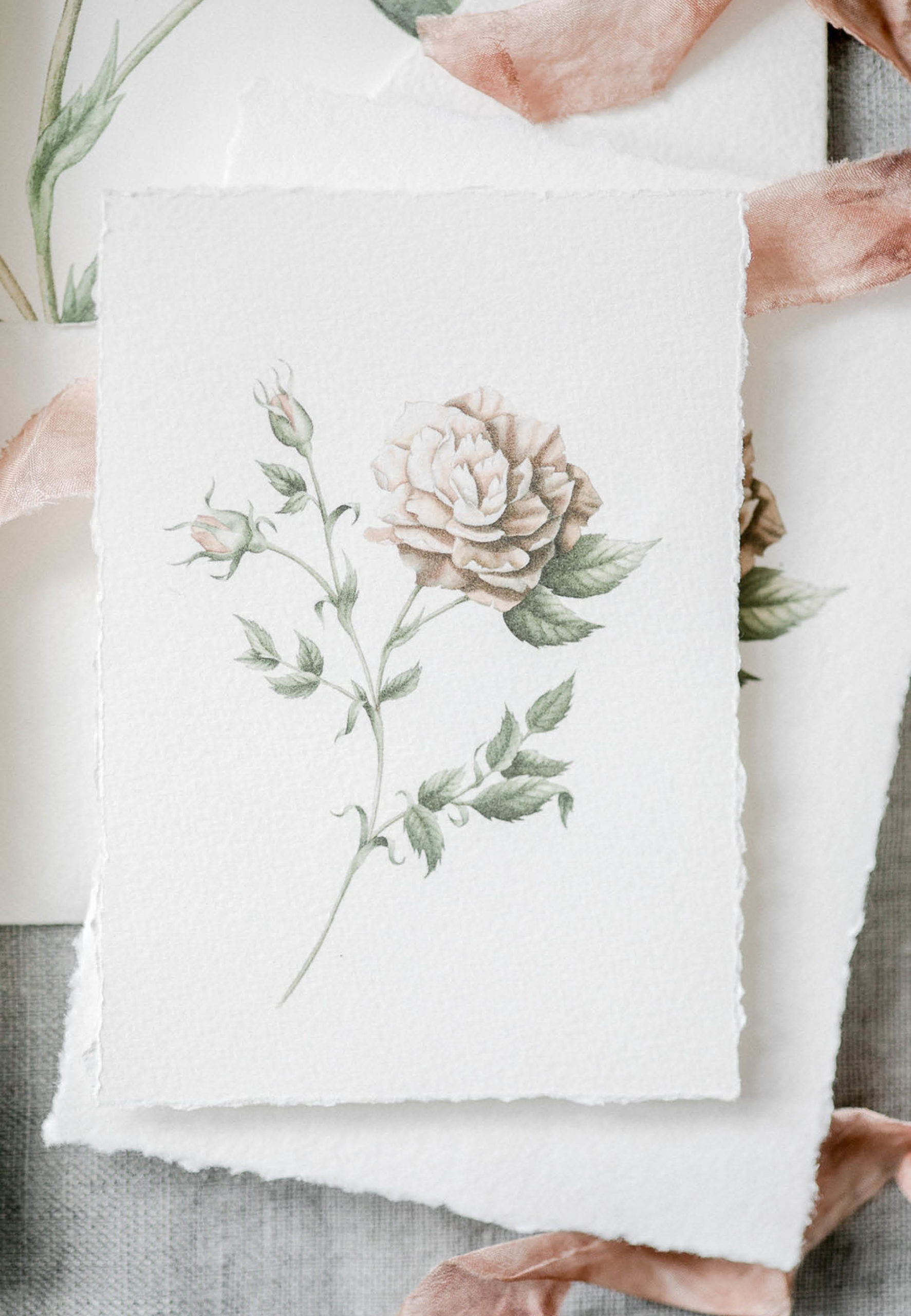 rose peinte aquarelle papeterie de mariage